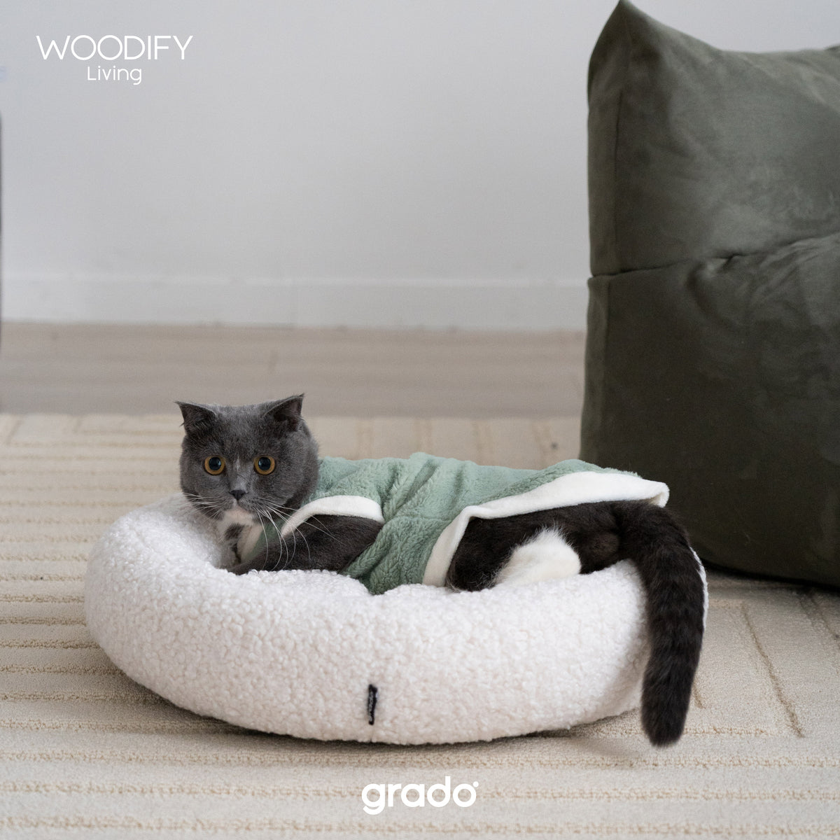 XO Pet Bed