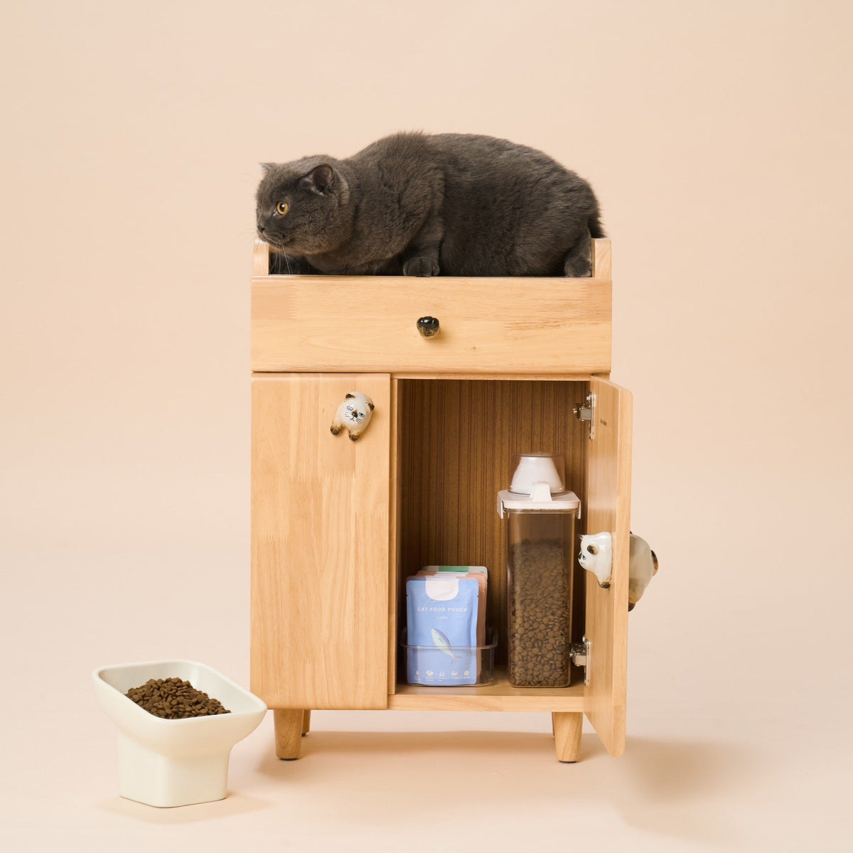 Wooden cabinet with pet supplies and a cat on a beige background