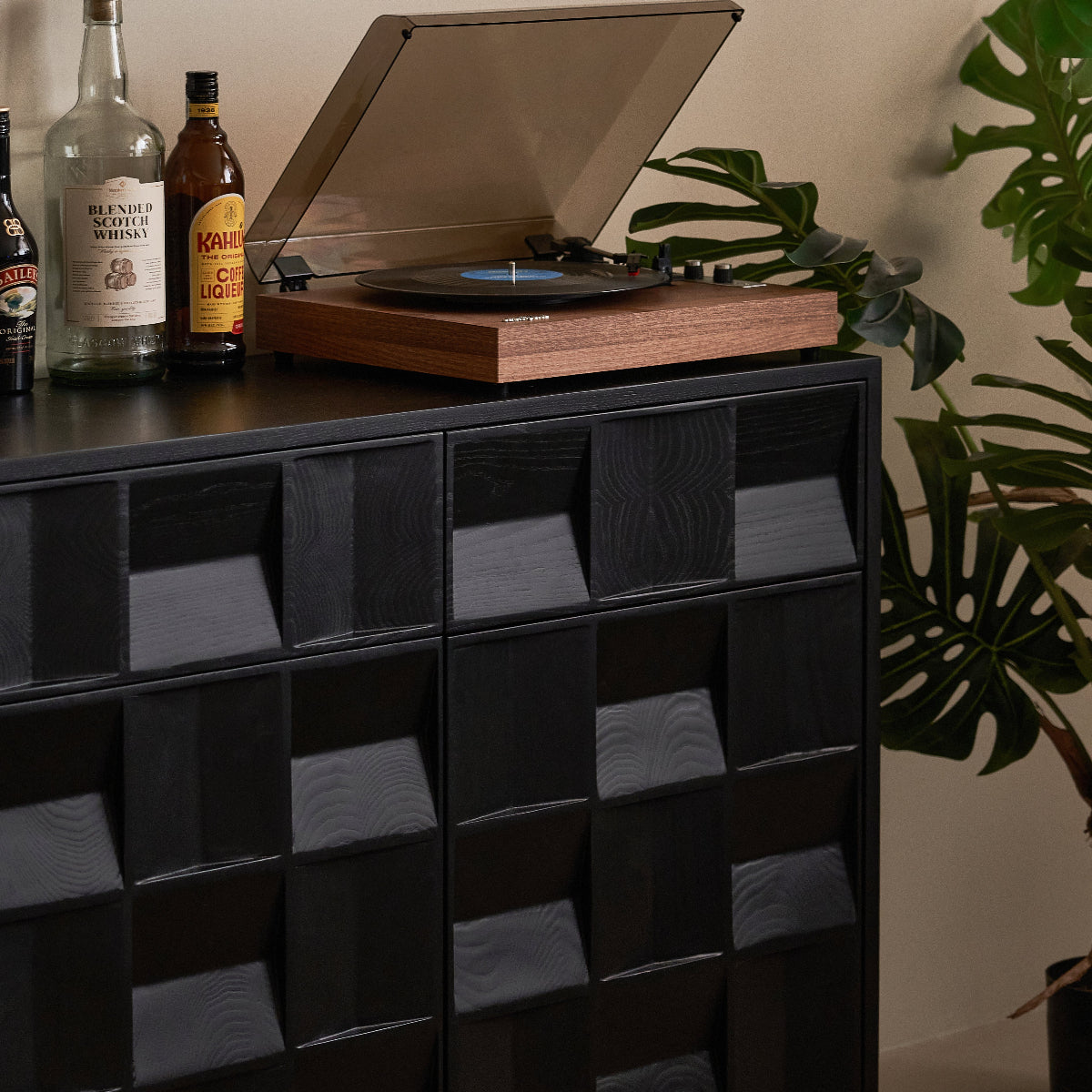 Black cabinet with a turntable on top, surrounded by bottles and plants.