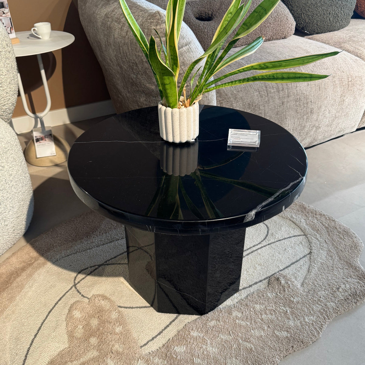 Modern living room with a black marble coffee table, plant, and gray sofa.