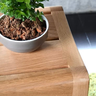 Potted plant on a wooden bench with a blurred background