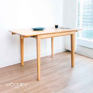 Xtro Extension Table
